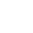 Google Icon